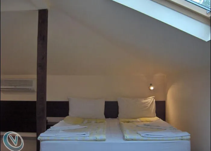 семеен феникс Китен